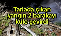 Tarlada çıkan yangın 2 barakayı küle çevirdi (Video)