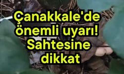 Çanakkale'de önemli uyarı! Sahtesine dikkat