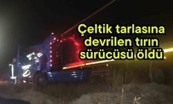 Çeltik tarlasına devrilen tırın sürücüsü öldü