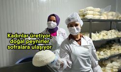 Kadınlar üretiyor, doğal peynirler sofralara ulaşıyor
