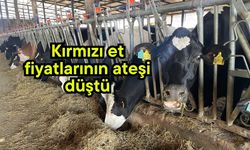 Kırmızı et fiyatlarının ateşi düştü (Video)
