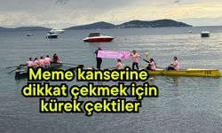 Meme kanserine dikkat çekmek için kürek çektiler (Video)