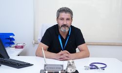 Salmonella sadece mideyi değil, organları da vuruyor