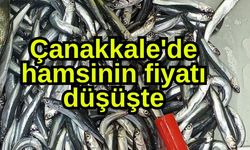 Çanakkale'de hamsinin fiyatı düşüşte