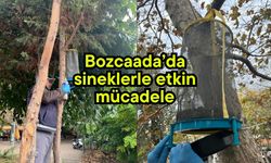Bozcaada’da sineklerle etkin mücadele