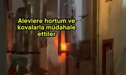 Alevlere hortum ve kovalarla müdahale ettiler (Video)