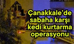 Çanakkale’de sabaha karşı kedi kurtarma operasyonu (Video)