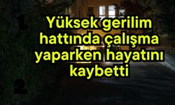 Yüksek gerilim hattında çalışma yaparken hayatını kaybetti