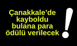 Çanakkale’de kayboldu, bulana para ödülü verilecek
