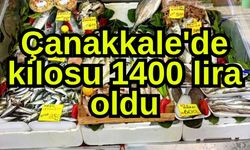 Çanakkale'de kilosu 1400 lira oldu