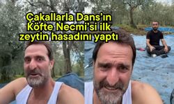 Çakallarla Dans’ın Köfte Necmi’si ilk zeytin hasadını yaptı (Video)