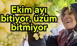 Ekim ayı bitiyor, üzüm bitmiyor