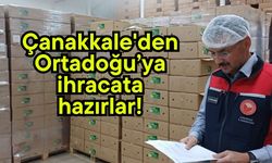Çanakkale'den Ortadoğu’ya ihracata hazırlar!