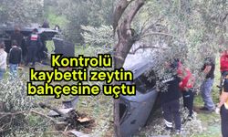 Kontrolü kaybetti zeytin bahçesine uçtu