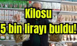Kilosu 5 bin lirayı buldu