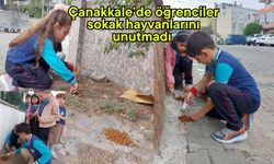 Çanakkale’de öğrenciler sokak hayvanlarını unutmadı