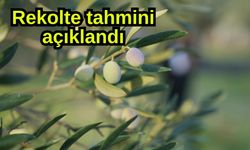 Rekolte tahmini açıklandı