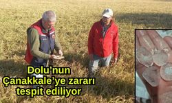 Dolu’nun Çanakkale’ye zararı tespit ediliyor