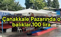 Çanakkale Pazarında o balıklar 100 lira