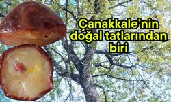 Çanakkale’nin doğal tatlarından biri