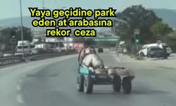 Yaya geçidine park eden at arabasına rekor  ceza