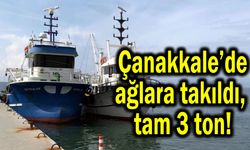 Çanakkale’de ağlara takıldı, tam 3 ton!