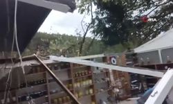 Hortum ağaçları kökünden söktü, bir işletmeyi yerle bir etti (Video)