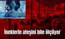 Yapay zeka hayvancılıkta çığır açtı (Video)