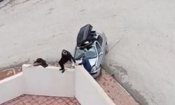 Aracını 3 kişinin üzerine sürdüğü anlar kameraya yansıdı (Video)