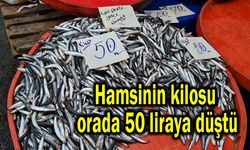 Hamsinin kilosu orada 50 liraya düştü (Video)