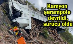 Kamyon şarampole devrildi, sürücü öldü