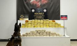 Hassas burnuyla gizlenen yerden çıkardı