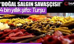 Doğal salgın savaşçıcı (Video)
