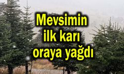 Mevsimin ilk karı oraya yağdı (Video)