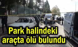 Park halindeki araçta ölü bulundu