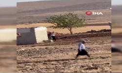 Aileler arasında silahlı çatışma (Video)