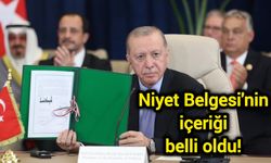 Niyet Belgesi'nin içeriği belli oldu!