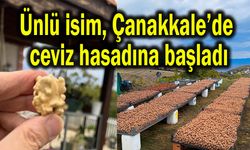 Ünlü isim, Çanakkale’de ceviz hasadına başladı