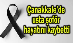 Çanakkale’de usta şoför hayatını kaybetti