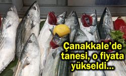 Çanakkale’de tanesi, o fiyata yükseldi