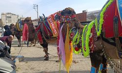 Çan’da havut giydirme hayrı düzenlendi