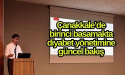 Çanakkale’de birinci basamakta diyabet yönetimine güncel bakış