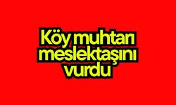 Köy muhtarı meslektaşını vurdu