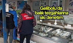 Gelibolu’da balık tezgahlarına sıkı denetim