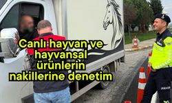 Canlı hayvan ve hayvansal ürünlerin nakillerine denetim