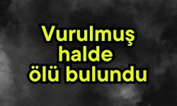 Vurulmuş halde ölü bulundu