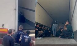 24 düzensiz göçmen yakalandı