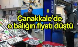 Çanakkale’de o balığın fiyatı düştü (Video)