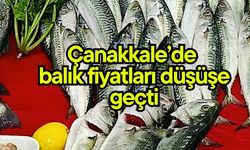 Çanakkale’de balık fiyatları düşüşe geçti