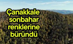 Çanakkale  sonbahar renklerine büründü (Video)